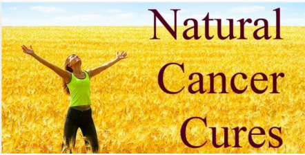 Cancer treatment, natural therapies that work